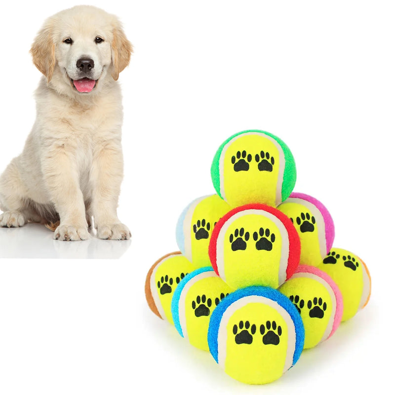 Conjunto com 3 bolas de jogo para Pets