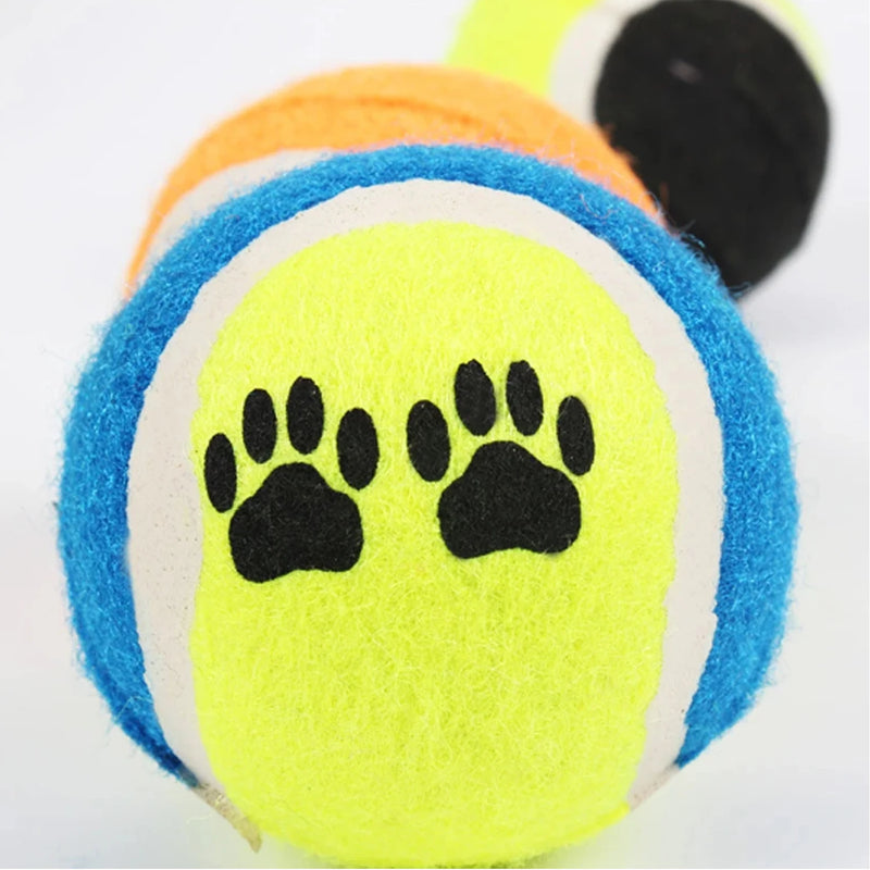 Conjunto com 3 bolas de jogo para Pets